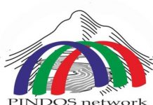 pindos logo